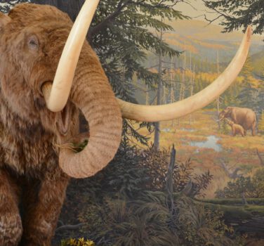 Mastodon