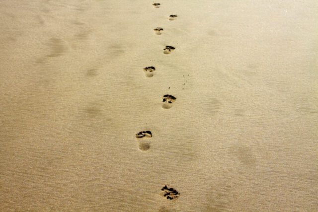 hand-beach-sea-coast-water-nature-1060624-pxhere.com